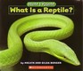 What Is a Reptile Now I Know Scholastic