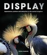 Display Appearance posture and behaviour in the animal kingdom