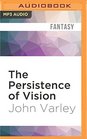 The Persistence of Vision