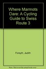 Where Marmots Dare A Cycling Guide to Swiss Route 3