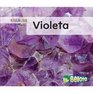 Violeta / Violet