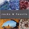 Rocks and Fossils a Visual Guide