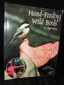 HandFeeding Wild Birds