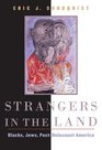 Strangers in the Land Blacks Jews PostHolocaust America