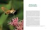 Insects Their Natural History and Diversity With a Photographic Guide to Insects of Eastern North America