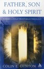 Father Son and Spirit Essays Toward a Fully Trinitarian Theology