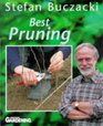 Best Pruning
