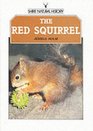 The Red Squirrel