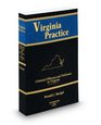 Criminal Offenses and Defenses in Virginia 20092010 ed