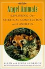 Angel Animals : Exploring Our Spiritual Connection With Animals