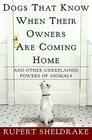 Dogs That Know When Their Owners Are Coming Home  And Other Unexplained Powers of Animals