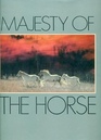 Majesty of the Horse