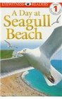 A Day at Seagull Beach