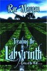 Treading The Labyrinth