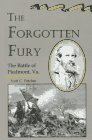 The Forgotten Fury The Battle of Piedmont Virginia