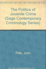 The Politics of Juvenile Crime
