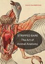 Stripped Bare The Art of Animal Anatomy