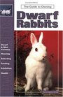 The Guide to Owning Dwarf Rabbits