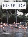 Florida  A Pictorial Souvenir