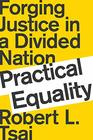 Practical Equality Forging Justice in a Divided Nation