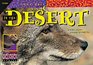 In the Desert