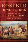 Rosebud June 17 1876 Prelude to the Little Big Horn