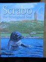 Scrabo the Strangford Seal