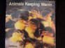 ANIMALS KEEPING WARM