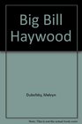 Big Bill Haywood