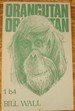 Orangutan