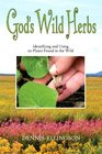 God's Wild Herbs : Identifying and Using 121 Plants Found in the Wild