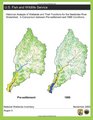 Historical Analysis of Wetlands and Their Functions For the Nanticoke River Watershed A Comparison between Presettlement and 1998 Conditions
