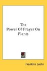 The Power Of Prayer On Plants