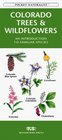 Colorado Trees  Wildflowers An Introduction to Familiar Species