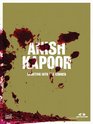 Anish Kapoor Shooting Into the Corner