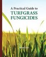 A Practical Guide to Turfgrass Fungicides