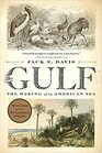 The Gulf The Making of An American Sea