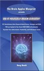 Do It Yourself Brain Surgery (The Brain Apples Blueprint)