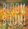 Bloom Boom