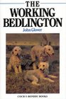 The Working Bedlington