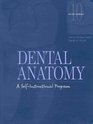Dental Anatomy A SelfInstructional Program