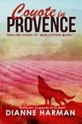 Coyote in Provence