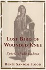 LOST BIRD OF WOUNDED KNEE  SPIRIT OF THE LAKOTA
