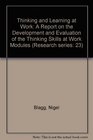 Thinking and Learning at Work A Report on the Development and Evaluation of the Thinking Skills at Work Modules