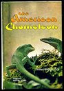 The American chameleon