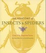 The Anatomy of Insects and Spiders