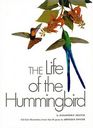 The Life of the Hummingbird