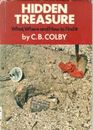 Hidden Treasure What Where and How to Find It