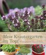 Mein Krutergarten im Topf