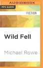 Wild Fell A Ghost Story